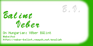balint veber business card